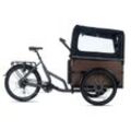 Cargo E-Bike Urban Deluxe grau 250W 36V/13 Ah Li-Ion-Akku