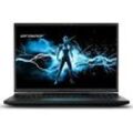 MEDION ERAZER Beast X40, Gaming Notebook, mit 17 Zoll Display, Intel® CoreTM i9,i9-14900HX Prozessor, 32 GB RAM, 2 TB SSD GeForce RTXTM 4090, Schwarz, Windows 11 (64 Bit)