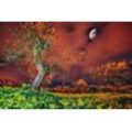 Fototapete PAPERMOON "Baum in Landschaft", bunt, B:4,50m L:2,80m, Vlies, Tapeten