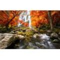 Fototapete PAPERMOON "WASSERFALL-HERBST WALD BÄUME STEINE FLUSS LANDSCHAFT", bunt, B:5,00m L:2,80m, Vlies, Tapeten