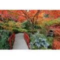 Fototapete PAPERMOON "JAPANISCHER GARTEN HERBST", bunt, B:5,00m L:2,80m, Vlies, Tapeten