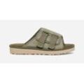 UGG® Goldencoast Strap Slide für Herren in Shaded Clover, Größe 40, Veloursleder