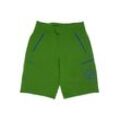 Norrona Herren Shorts, grün, Gr. 52