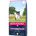 EUKANUBA Trockenfutter Hund Small & Medium Breed Puppy, Lamm & Reis 12 kg