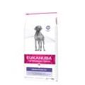 EUKANUBA Veterinary Diet Trockenfutter Hund Dermatosis Adult 2x12 kg