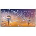 Wandbild ARTLAND "Pusteblumen Tautropfen", orange, B:150cm H:75cm, Bilder, als Alubild, Outdoorbild, Leinwandbild, Poster, Wandaufkleber