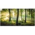 Wandbild ARTLAND "Herbst im Wald II" Bilder Gr. B/H: 150cm x 75cm, Wandaufkleber - Vinyl Waldbilder Querformat,, grün als Alubild, Outdoorbild, Leinwandbild, Poster, Wandaufkleber