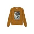 Sweatshirt S.OLIVER JUNIOR Gr. L (158/164), braun (caramel), Jungen, Jersey, Obermaterial: 90% Baumwolle, 10% Polyester, bedruckt, Sweatshirts, mit Frontprint