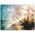 Wandbild ARTLAND "Pusteblume Makro abstrakt", beige (naturfarben), B:120cm H:90cm, Bilder, als Alubild, Outdoorbild, Leinwandbild, Poster, Wandaufkleber