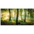 Wandbild ARTLAND "Herbst im Wald II" Bilder Gr. B/H: 100cm x 50cm, Leinwandbild Waldbilder Querformat,, grün als Alubild, Outdoorbild, Leinwandbild, Poster, Wandaufkleber