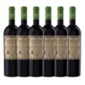 Primitivo Bio IGT Puglia - 6er Karton