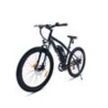 E-Racing Mountain Bike R6 500Wh 13,4Ah E-Bike 26"