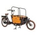 Cargo E-Bike Carry 2 250W 36V/13 Ah Li-Ion-Akku 8 Gänge