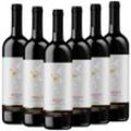 Bio-Merlot Sicilia DOC Colomba Bianca Italien trocken - 6er Karton