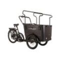 Cargo E-Bike Avenger schwarz 250W 36V/15 Ah Li-Ion-Akku 8 Gänge