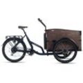 Cargo E-Bike Urban Deluxe blau 250W 36V/13 Ah Li-Ion-Akku