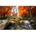 Fototapete PAPERMOON "WASSERFALL-HERBST BÄUME WALD NATUR LANDSCHAFT DSCHUNGEL", bunt, B:5,00m L:2,80m, Vlies, Tapeten