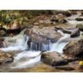 Fototapete PAPERMOON "WASSERFALL-BÄUME FLUSS SEE STEINE BLUME WALD BACH SONNE", bunt, B:4,50m L:2,80m, Vlies, Tapeten