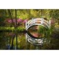 Fototapete PAPERMOON "GARTEN-NATUR LANDSCHAFT WALD BÄUME BLUMEN BRÜCKE SEE", bunt, B:4,50m L:2,80m, Vlies, Tapeten