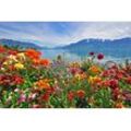 Fototapete PAPERMOON "BLUMEN-DESIGN NATUR LANDSCHAFT GEBIRGE BERGE ALPEN SEE", bunt, B:5,00m L:2,80m, Vlies, Tapeten