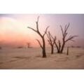 Fototapete PAPERMOON "Photo-Art GIUSEPPE DAMICO, NEBEL IN DEADVLEI", bunt, B:5,00m L:2,80m, Vlies, Tapeten