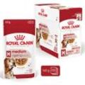 Royal Canin SHN Medium Ageing Gravy 10x140g