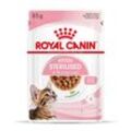 ROYAL CANIN KITTEN STERILISED in Soße Nassnahrung für kastrierte Kätzchen ab 6 Monaten 12x85g