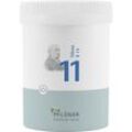 Biochemie Pflüger Nr. 11 Silicea D12 250 G