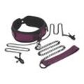 Collar, Leash & Nipple Clips Set