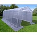 Dancover Foliengewächshaus, 3,3x6x2,4m, PE, 19,8m², Transparent