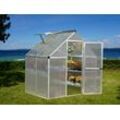 Dancover Gewächshaus Polycarbonat 2,3m², Palram/Canopia, 1,85x1,26x2,08m, silber