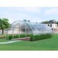 Dancover Gewächshaus aus Polycarbonat, Strong NOVA 24m², 4x6m, Silber