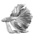 riess-ambiente Skulptur CROWNTAIL - Design Deko Figur Kampffisch35cm silber Betta Fisch Skulptur