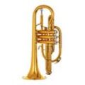 B&S 3142/2-GL Brochon Bb-Cornet