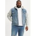 Hybridjacke LEVI'S PLUS, Herren, Gr. XL, candy man, Denim/Jeans, Obermaterial: 100% Baumwolle, mehrfarbig, casual, regular fit taillenbedeckt, ohne Ausschnitt, Langarm Rippbündchen, Jacken, mit Sweat Kapuze und Ärmeln