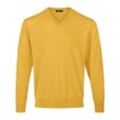 V-Pullover Peter Hahn gelb