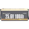 Power Queen - 24V 100Ah Batterie Lithium Akku LiFePO4, Perfekter Ersatz für agm Batterie, 4000-15000 Zyklen, 10 Jahre Lebensdauer, Max. 2560Wh