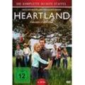 Steve Dimarco - GEBRAUCHT Heartland - Paradies für Pferde - Staffel 6 [6 DVDs] - Preis vom 20.12.2024 05:58:17 h