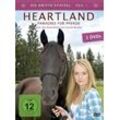 Dean Bennett - GEBRAUCHT Heartland - Paradies für Pferde: Die dritte Staffel, Teil 1 [3 DVDs] - Preis vom 20.12.2024 05:58:17 h