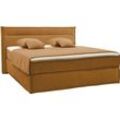 Boxspringbett MUSTERRING "JustB SC100", gelb (senf), B:200cm L:215cm, Komplettbetten, schwebende Optik, inklusive Topper, verschiedene Farben, 180 x 200 cm