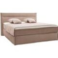 Boxspringbett MUSTERRING "JustB SC100", beige (beige, braun), B:200cm L:215cm, Komplettbetten, schwebende Optik, inklusive Topper, verschiedene Farben, 180 x 200 cm