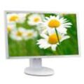 Bildschirm 23" LED FHD Eizo FlexScan EV2316W