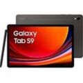 Samsung Galaxy Tab S9 11 256GB [Wi-Fi] graphite