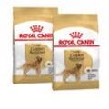 ROYAL CANIN Golden Retriever Adult 2x12 kg