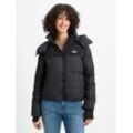 DKNY Sport Steppjacke Damen, schwarz