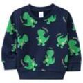 Baby Sweatshirt mit Dinos allover