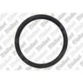 Vaillant Dichtung, Lippendichtr. EPDM, DN 60 981233 Vaillant-Nr. 981233