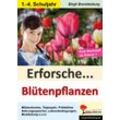 KOHL Verlag Erforsche Blütenpflanzen