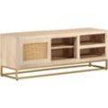 Vidaxl - TV-Schrank 110x30x40 cm Massivholz Mango und Eisen