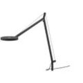 Artemide - Demetra LED Body, anthrazit